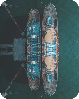 Drone Service